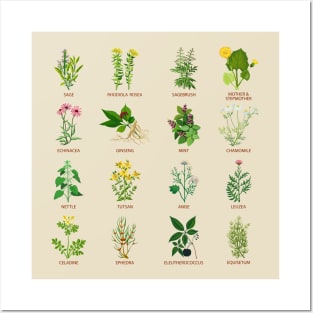 Wildflower Herbs Posters and Art